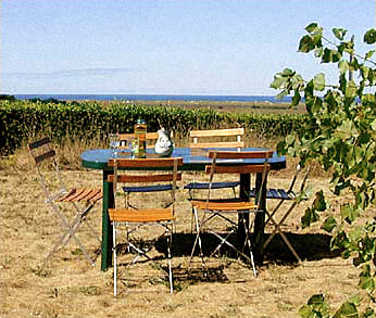 Gartentisch mit Blick auf die Dünen und das Meer 